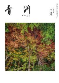 第908号　2024年11月